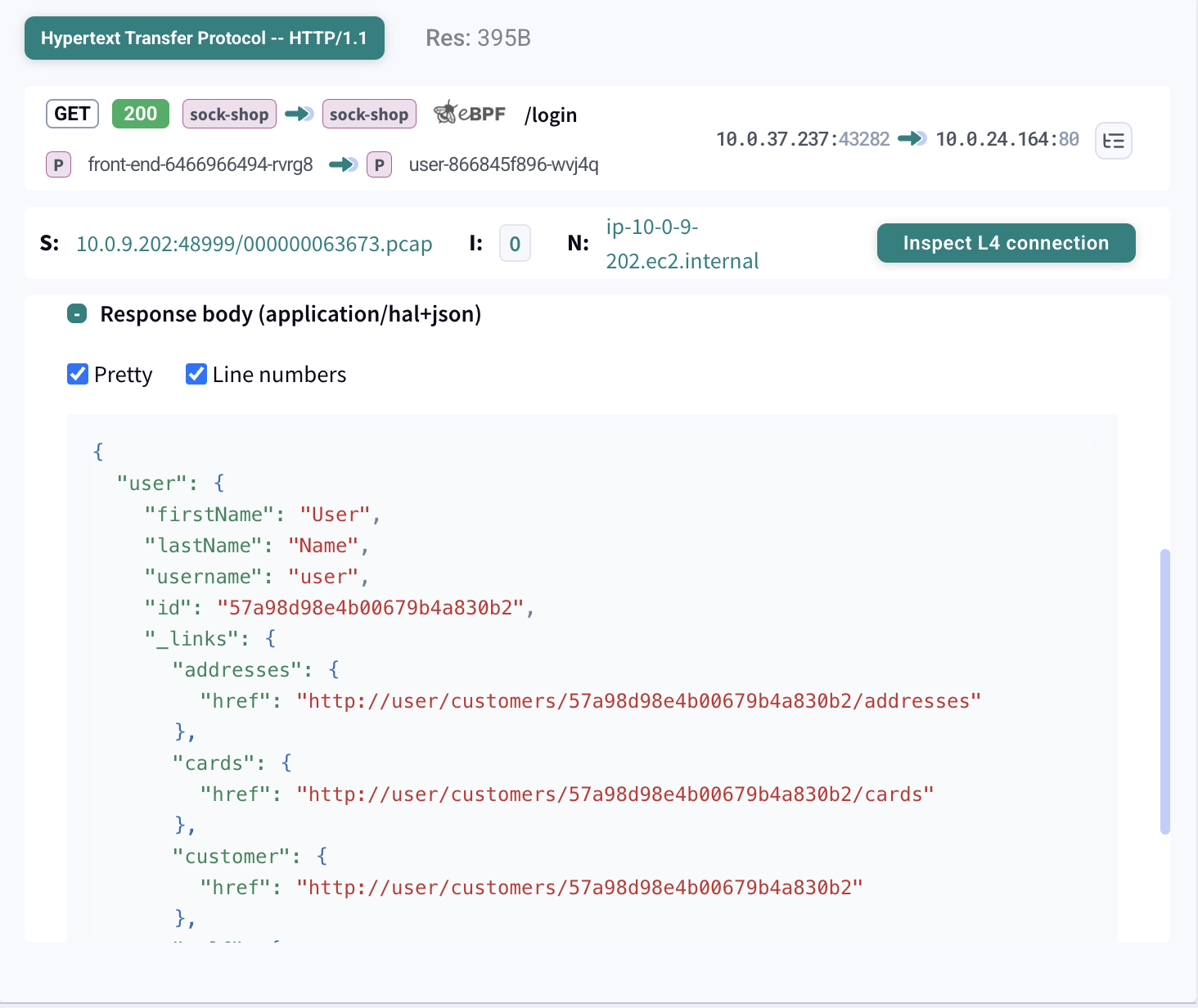 API Payload